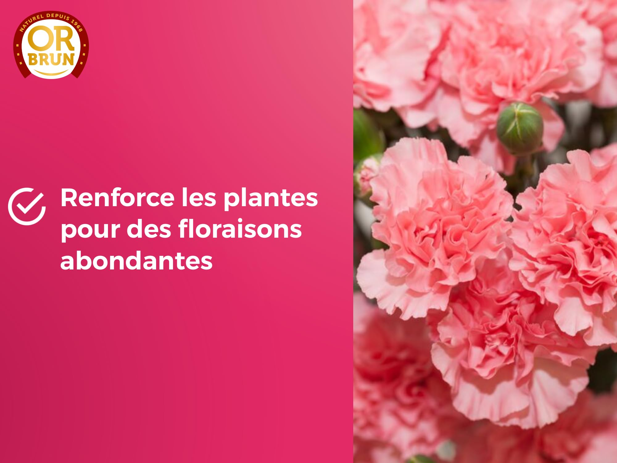 OR BRUN Engrais Fleurs - 250ml - Renforce Les Plantes & Améliore La Floraison - Fabriqué En France - Utilisable En Agriculture Biologique OBRECLFLEURS250