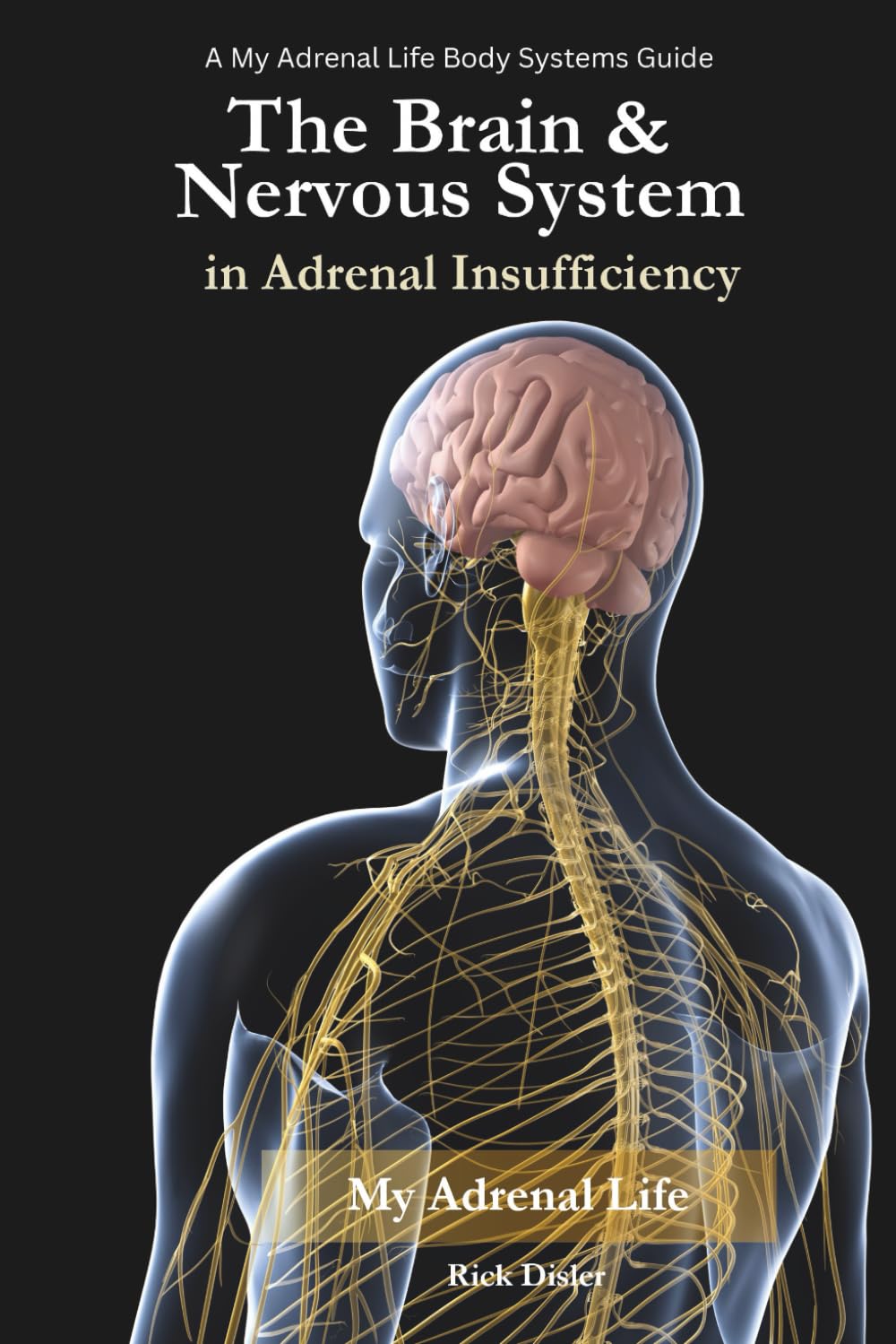 The Brain & Nervous System in Adrenal Insufficiency: Understanding Cognitive, Autonomic, and Neurologic Symptoms — and How to Talk About Them (My Adrenal Life: Body Systems & Adrenal Insufficiency)