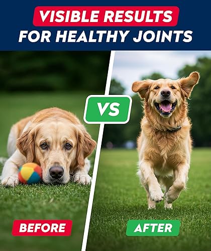 Miniatura 6 de Golosinas de glucosamina para perros  Suplemento de cadera y articulaciones con aceite de pescado omega-3  condroitina, MSM  Masticables de