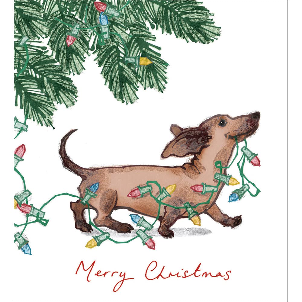 Woodmansterne Charity Christmas Cards Pack of 5, Assorted Designs, Cute Dachshund Dog and Fairy Lights Design