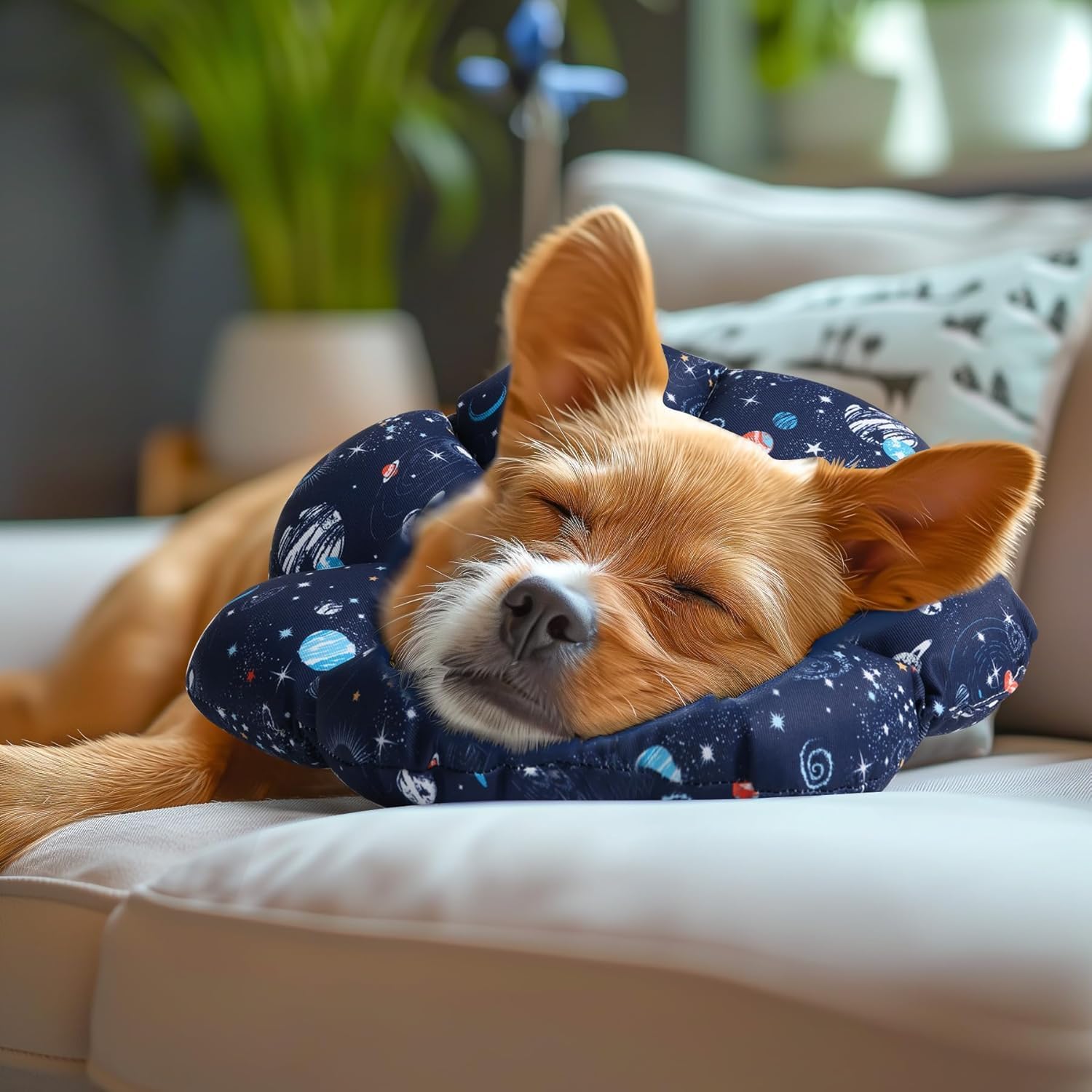 ComSaf Soft, Protective Adjustable Cat Cone Collar to Stop Licking After Surgery, Comfortable Lightweight Elizabethan Collar for Large Cat and Small Dog, Dog Recovery Collar Prevents Licking Wounds
