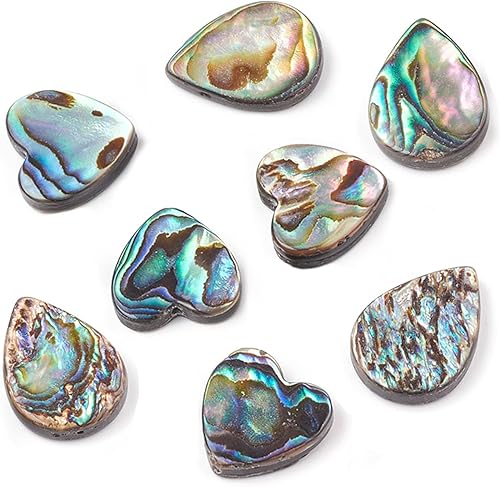 Miniatura 2 de BENECREAT 8 cuentas naturales de concha de abulón con contenedores de almacenamiento para hacer joyas de bricolaje