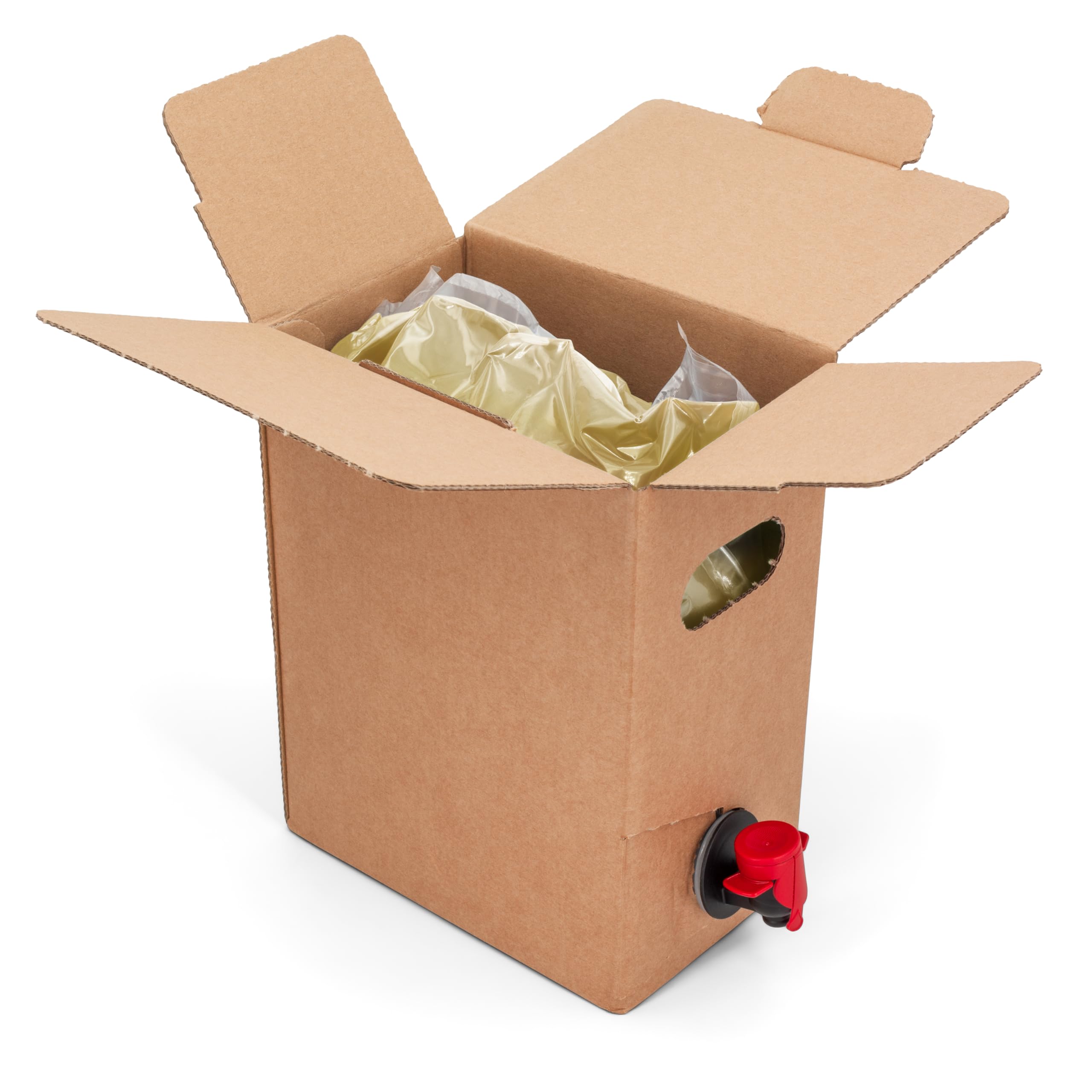 Diesdorfer Bio Ingwersaft 3 L Bag in Box Direktsaft vegan 100%