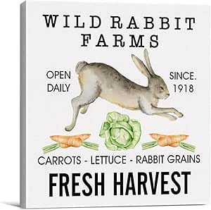 Amazon.com: Farmhouse Vintage Wild Rabbit Farms Sign Canvas Wall Art 8 ...