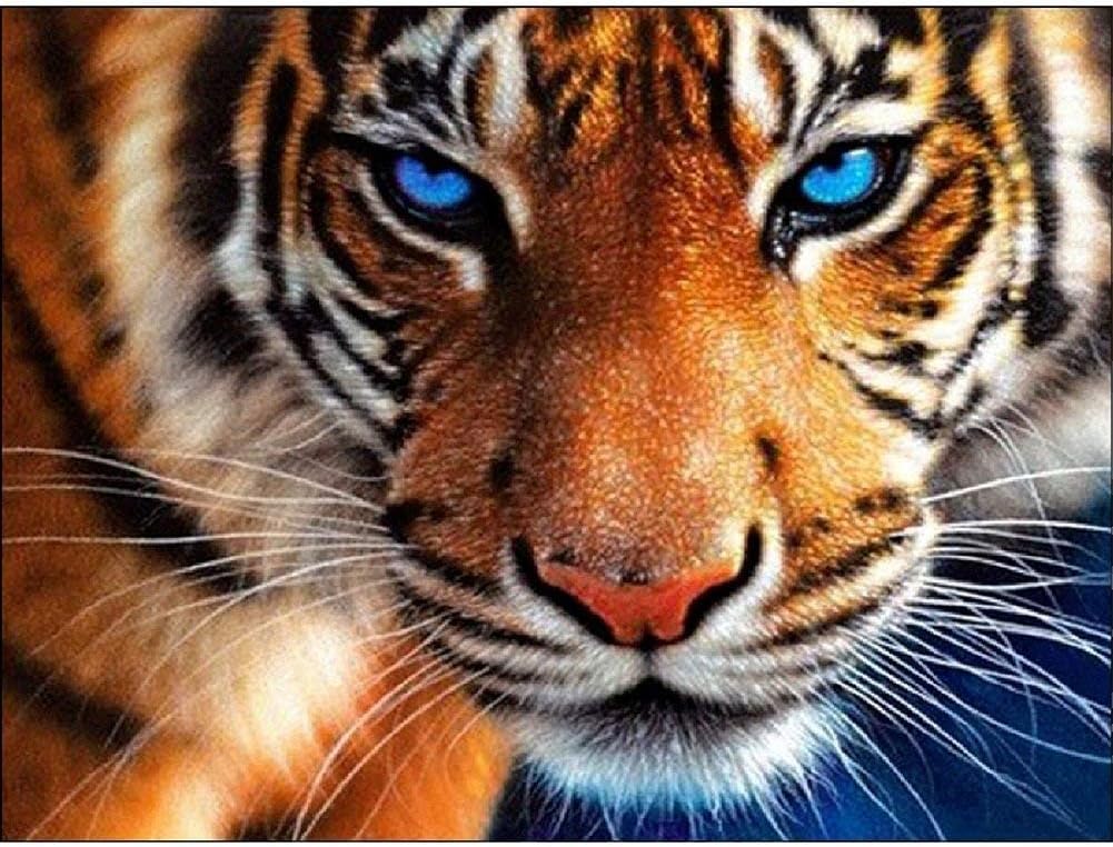DIY 5D Diamond Painting Kits Full Drill Tiger Animal Embroidery Cross Stitch Rhinestone Pictures Diamond Arts Craft Tiger (11.8X15.8)