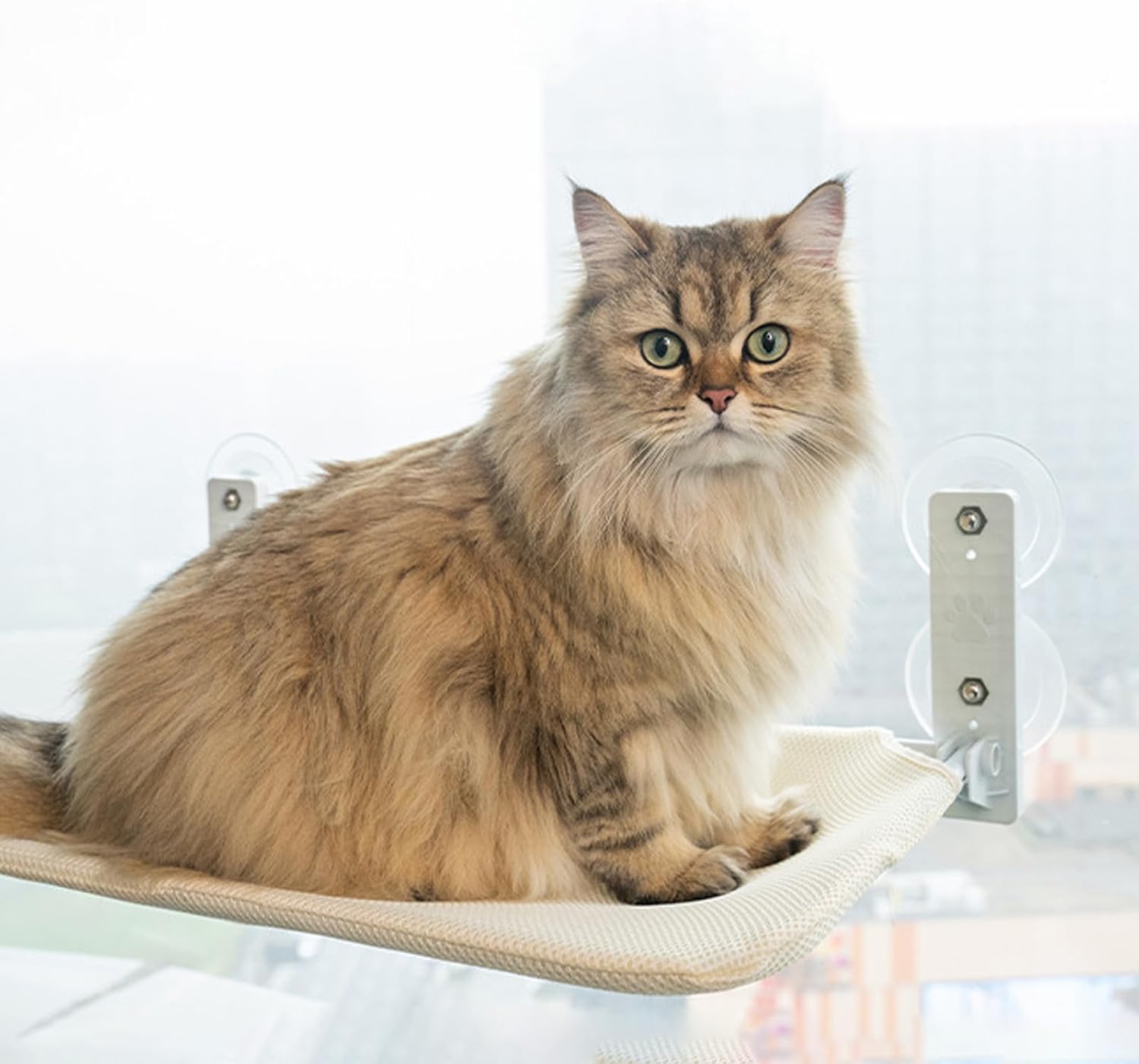 review Foldable Cat Hammock for Window - Cordless, Machine Washable, Robust Metal Frame- Cat Window Perch for Large Cats and Kittens (Beige Breathable Mesh Cloth (L 21