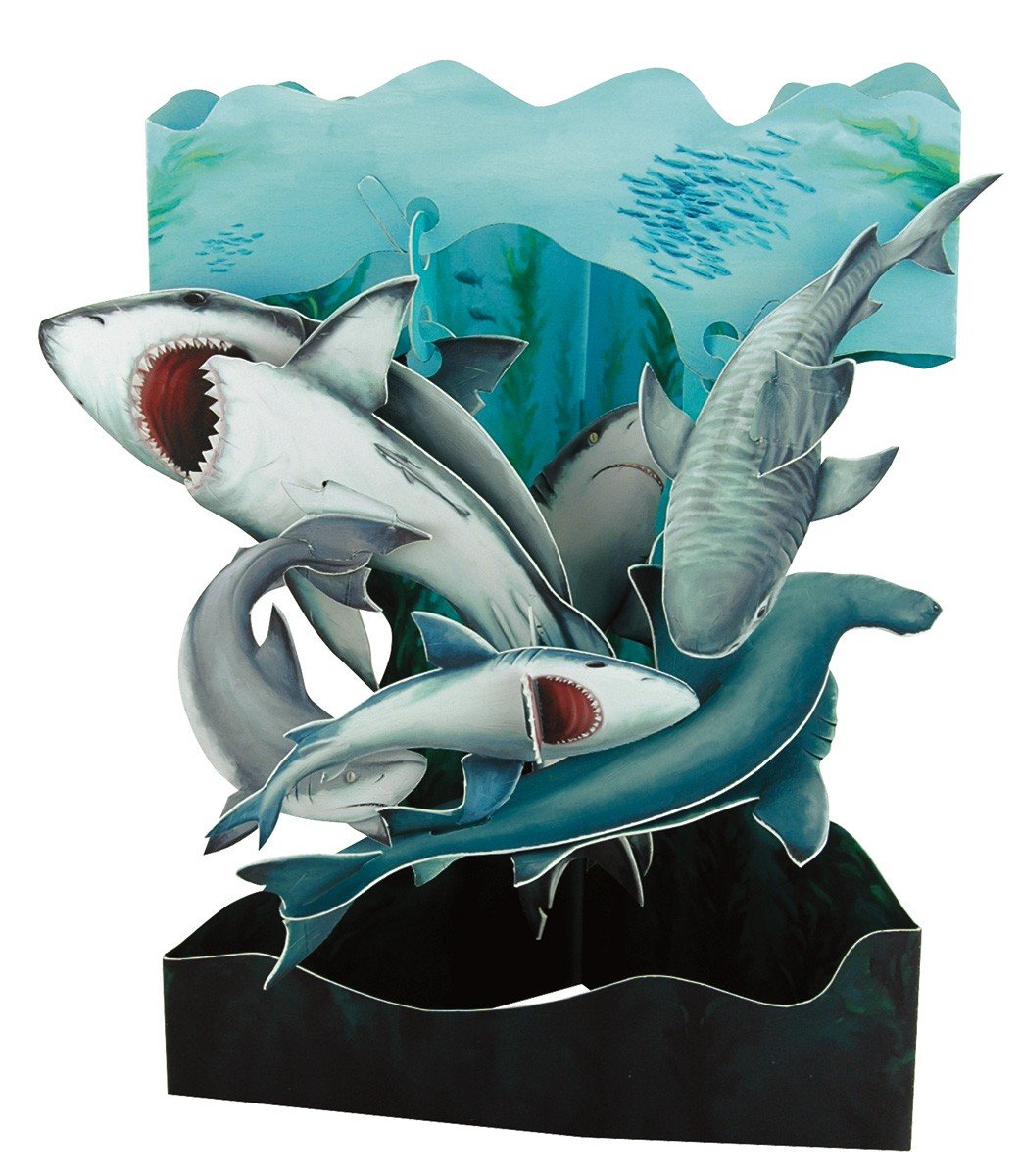 Interactive 3D Swing Greeting Card, Shark