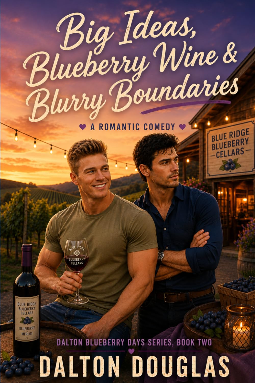 Big Ideas, Blueberry Wine & Blurry Boundaries: A Romantic Comedy: 2 (Dalton Blueberry Days)