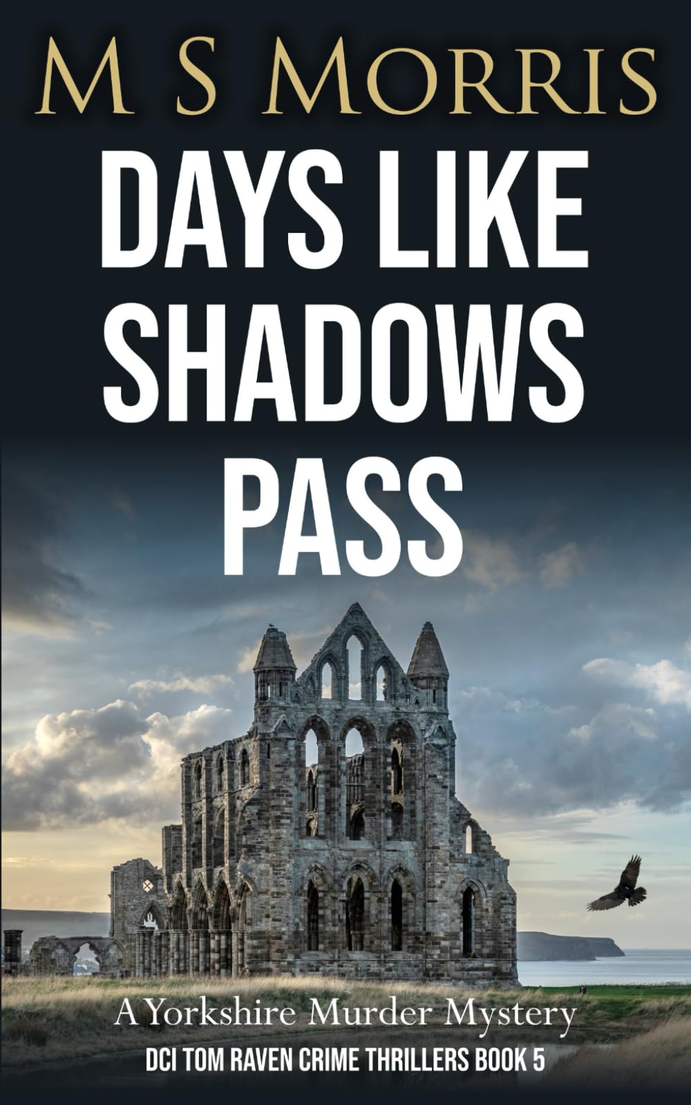 Days Like Shadows Pass: A Yorkshire Murder Mystery: 5 (DCI Tom Raven Crime Thrillers)