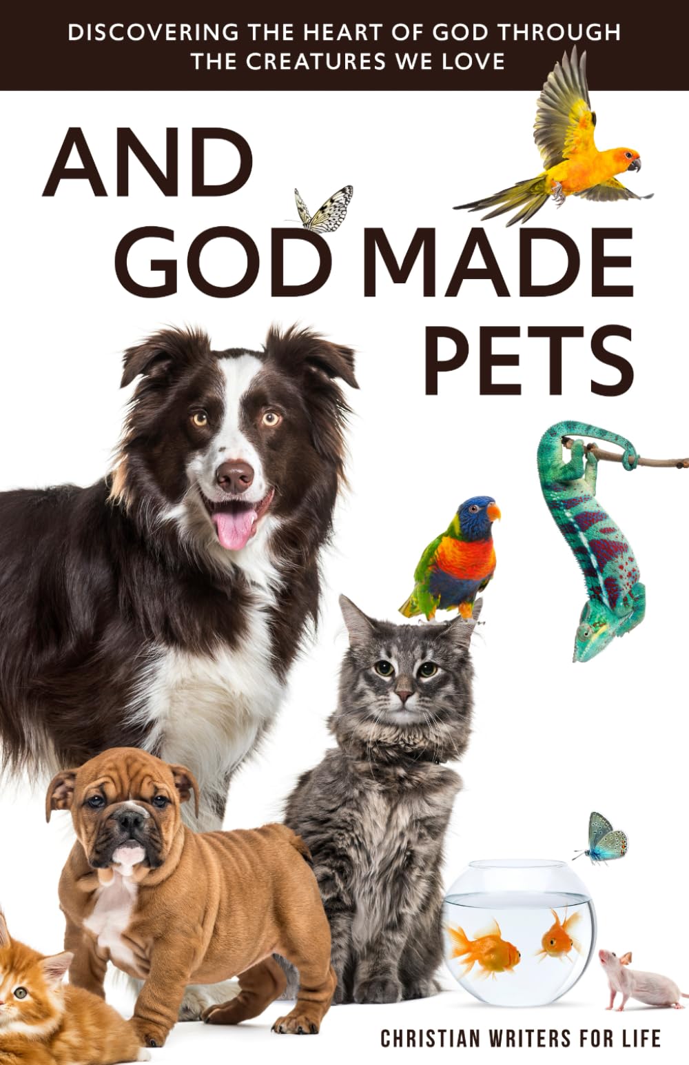 And God Made Pets: Discovering the Heart of God Through the Creatures We Love