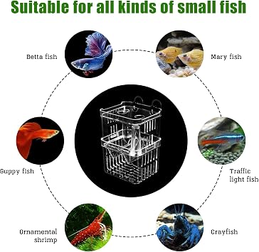 Breeding Box for Fish Tank, Aquarium Hatchery Incubator Breeder Box for Small Fish Shrimp, Transparent Plastic Fish-Breeding-Box, 8x7x11cm(COLOR:Transparent)