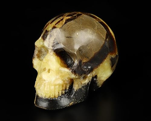 Vista 48 de Skullis 2.0 "Cráneo alienígena de cristal de obsidiana negra, escultura de arte fino de piedras preciosas talladas a mano, estatua de piedra Cráneo