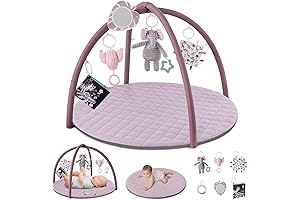 Blissful Diary Baby Play Gym; Perfect for Sensory & Motor Skill Development