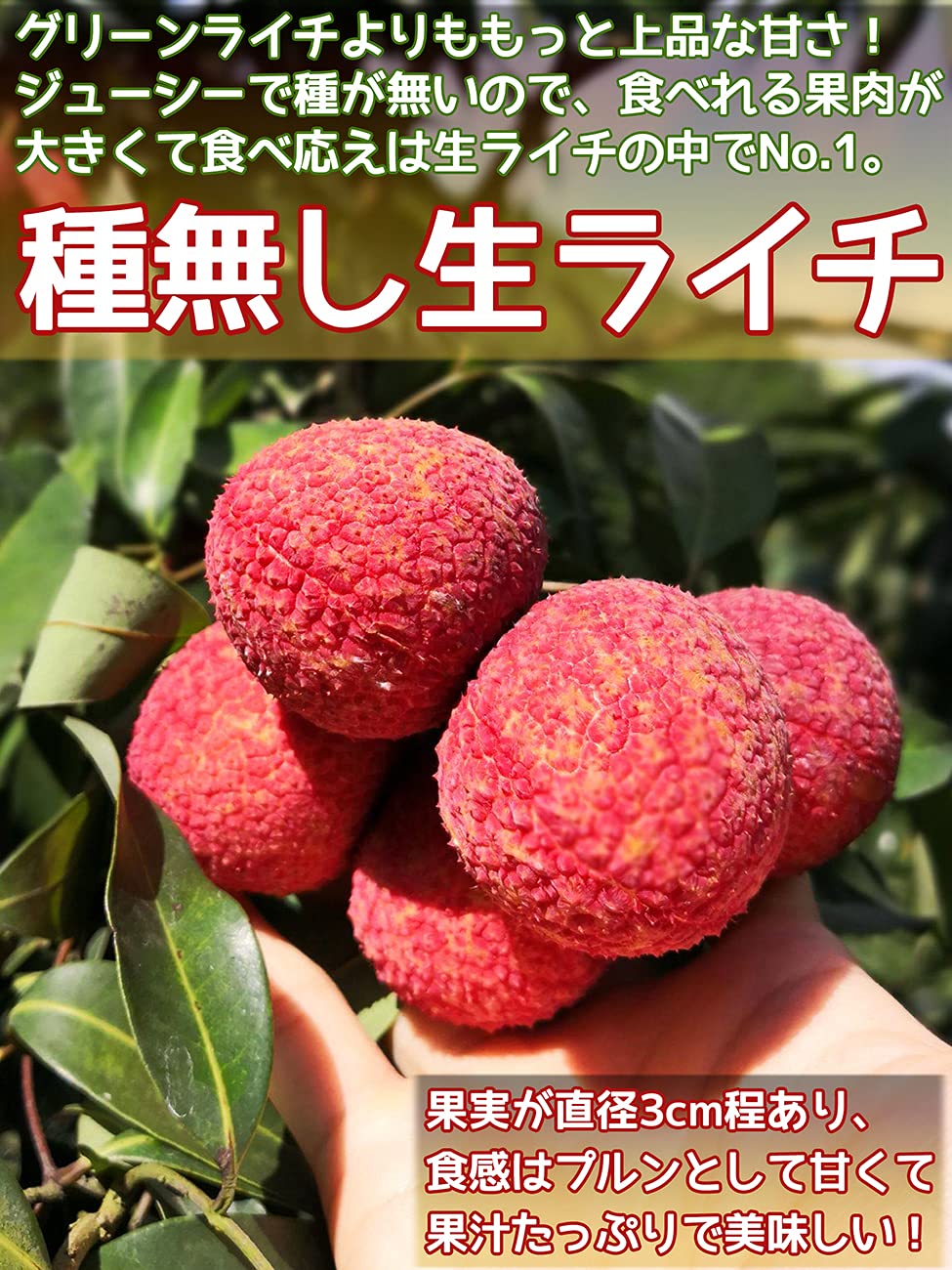 Amazon.co.jp: 種なし生ライチ 約4kg (2kg×2箱) 80玉前後 産地箱 中国