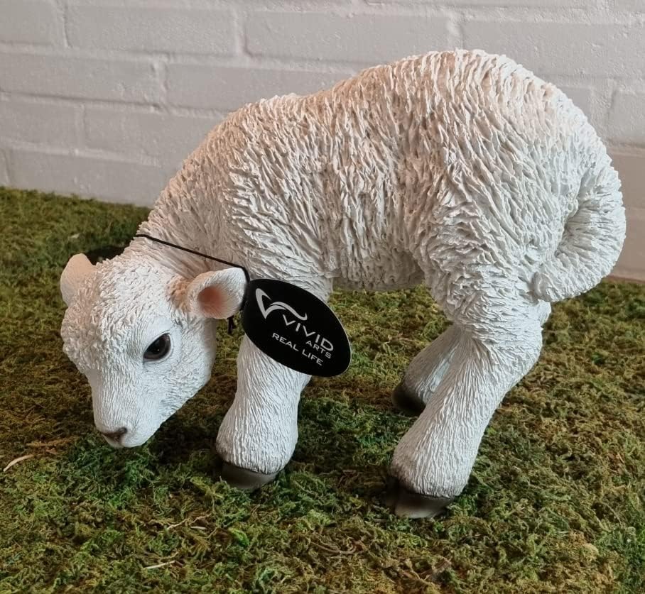 Vivid Arts Real life Lamb standing with head down (small)