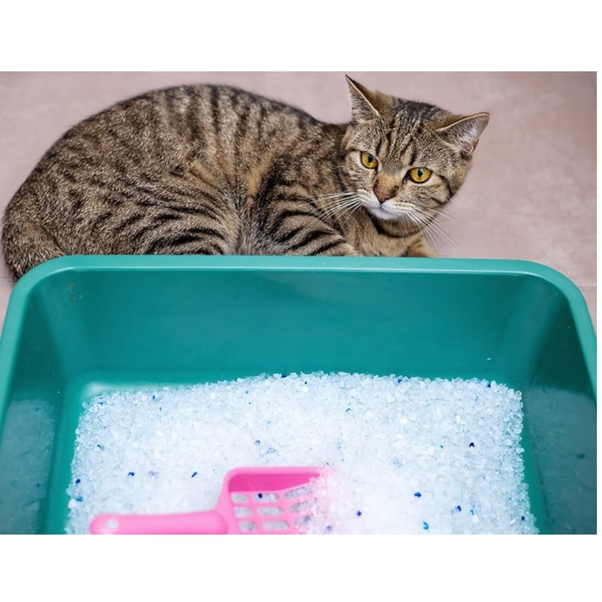 Lettiera per gatti in gel di silice, 10 litri, antiodore, altamente assorbente, a lunga durata, senza polvere, ultra igienica