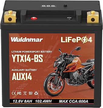 YTX14-BS Lithium Motorcycle Battery, 12.8V 8Ah 102.4Wh 600CCA LiFePO4 Powersports Battery with Built-in BMS, Lightweight Replacement for Motorcycles, ATVs, UTVs, PWCs AUX14