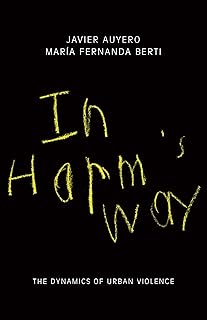 In Harm's Way: The Dynamics of Urban Violence