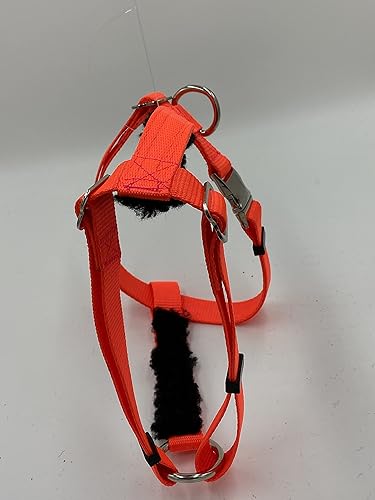 Miniatura 2 de PADDED Carter Pet Supply PIG HOG Harness METAL Buckle Heavy Duty With Leash (X-Large, LIME GREEN)