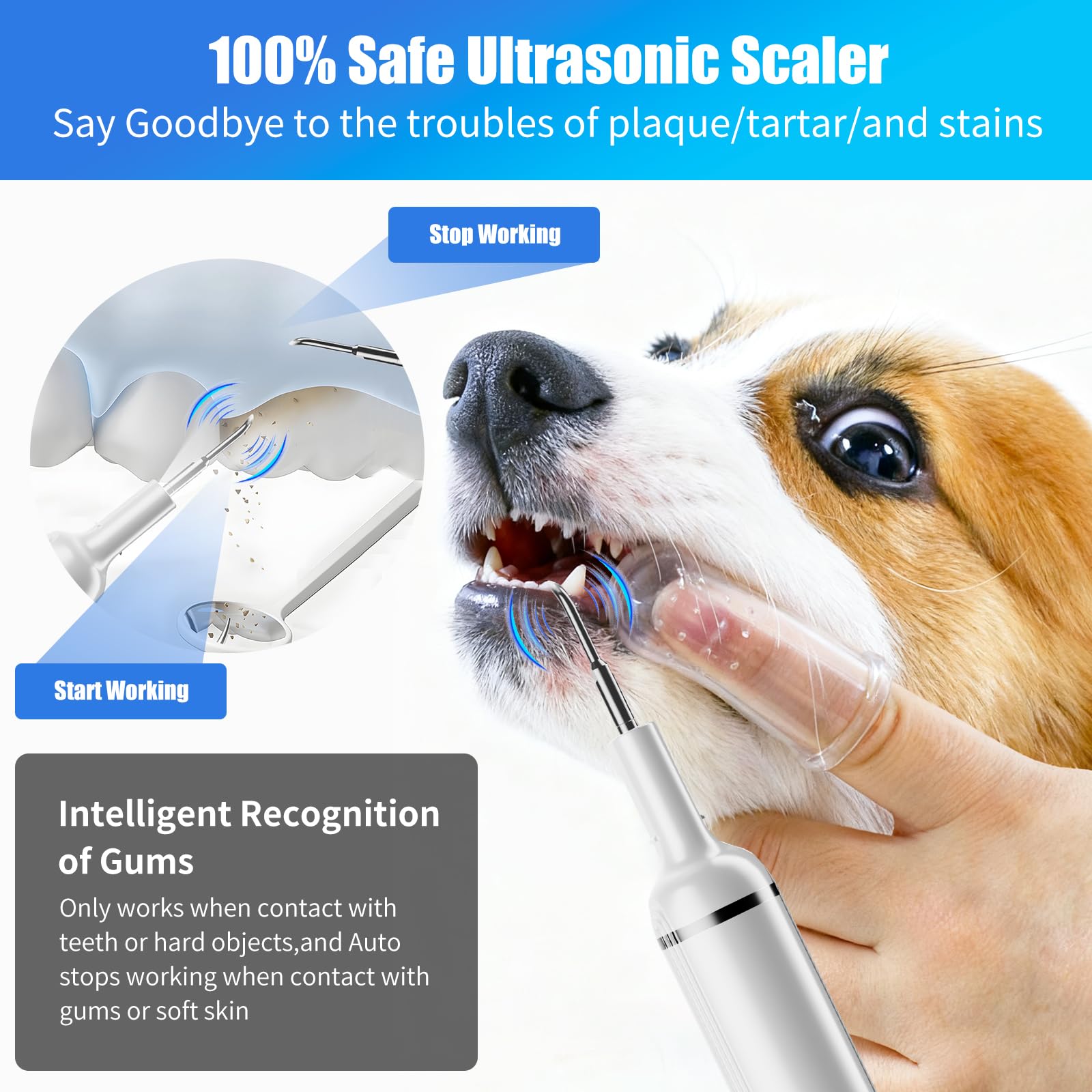 Kit de Limpiador Dental Ultrasónico para Perros y Gatos, Cepillo de Dientes Eléctrico Ultrasónico, 5 Modos de Limpieza y 4 Cabezales de Limpieza para Cuidado Dental para Mascotas