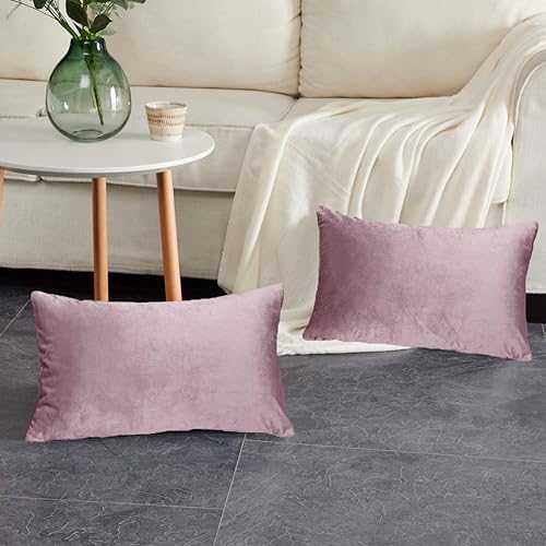 Vista 176 de GIGIZAZA - Juego de 2 fundas de almohada decorativas de 18 x 18 pulgadas, fundas de almohada cuadradas de terciopelo verde azulado pavo real