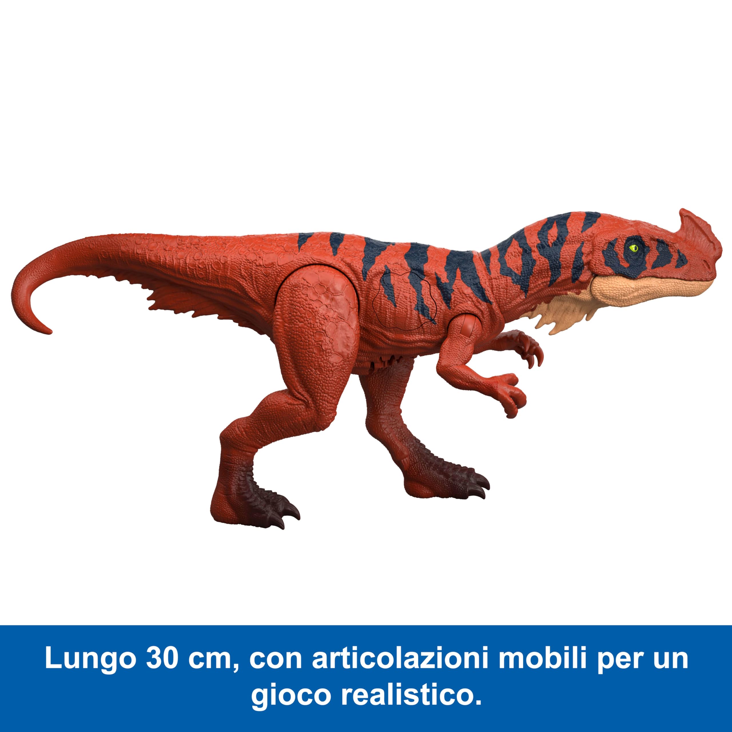 Mattel Jurassic World - Afrovenator Ruggito Selvaggio, dinosauro snodabile con mandibola multidirezionale, mossa d'attacco e suoni inclusi, giocattolo per bambini, 4+ anni, JKL76