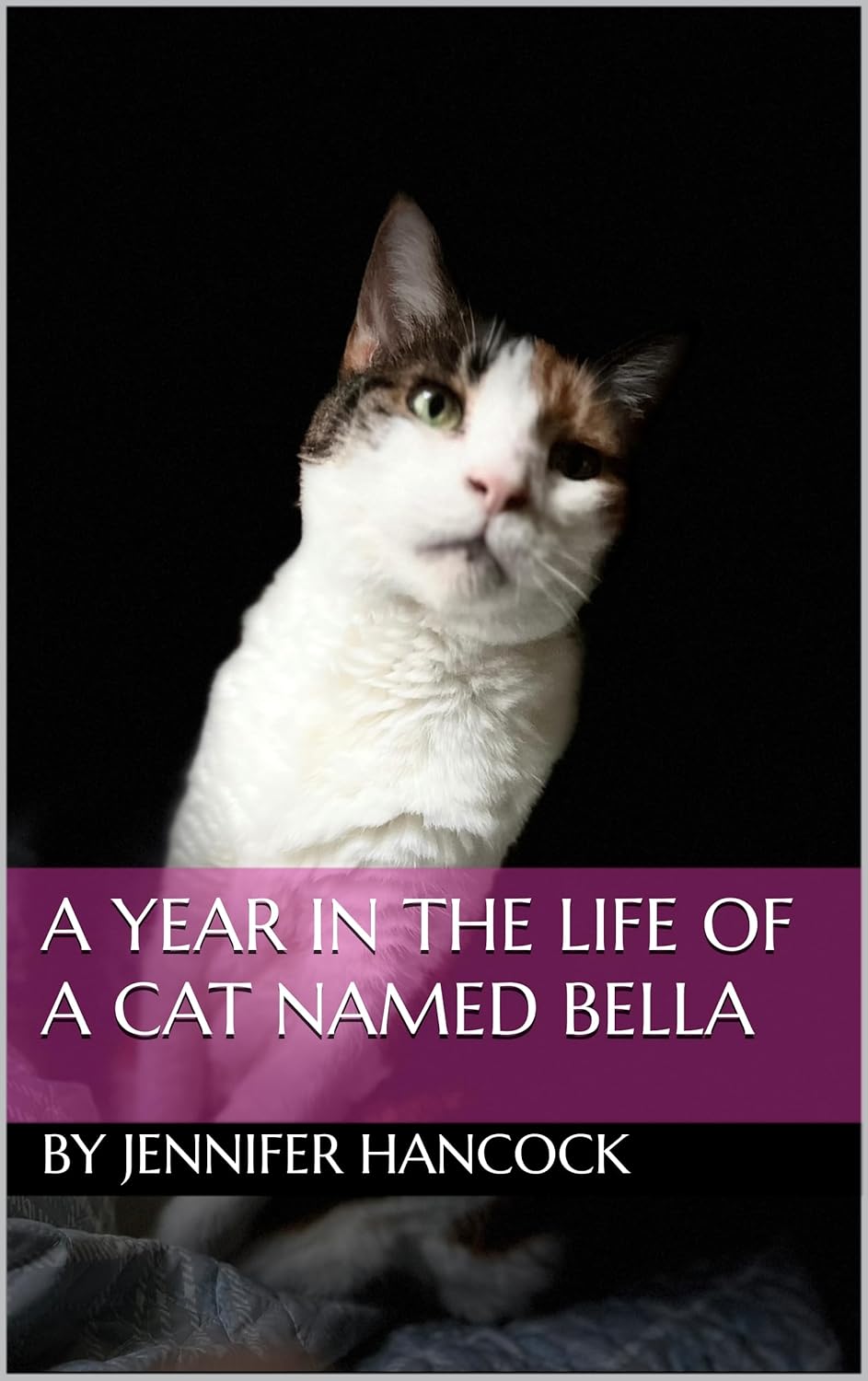 A YEAR IN THE LIFE OF A CAT NAMED BELLA      Kindle Edition