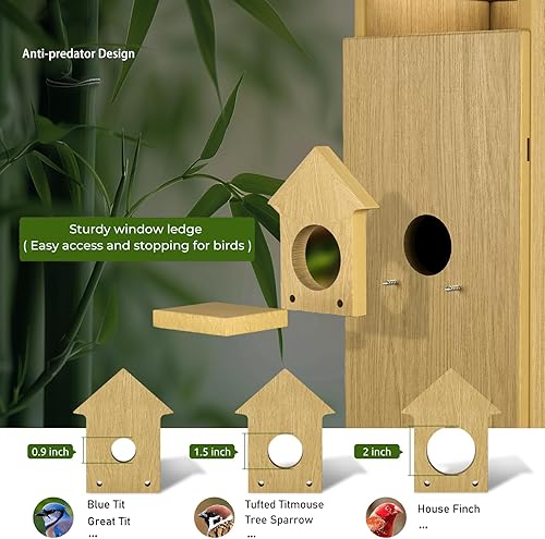 Miniatura 5 de Casa inteligente para pájaros con cámara, cámara HD 2K con energía solar, vista en tiempo real del nido de pájaro y la eclosión, casa inteligente de