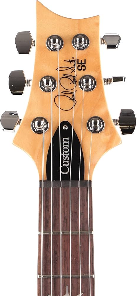 PRS Guitars Electric Guitar, SE Custom 24, 2021 Series -Faded Blue