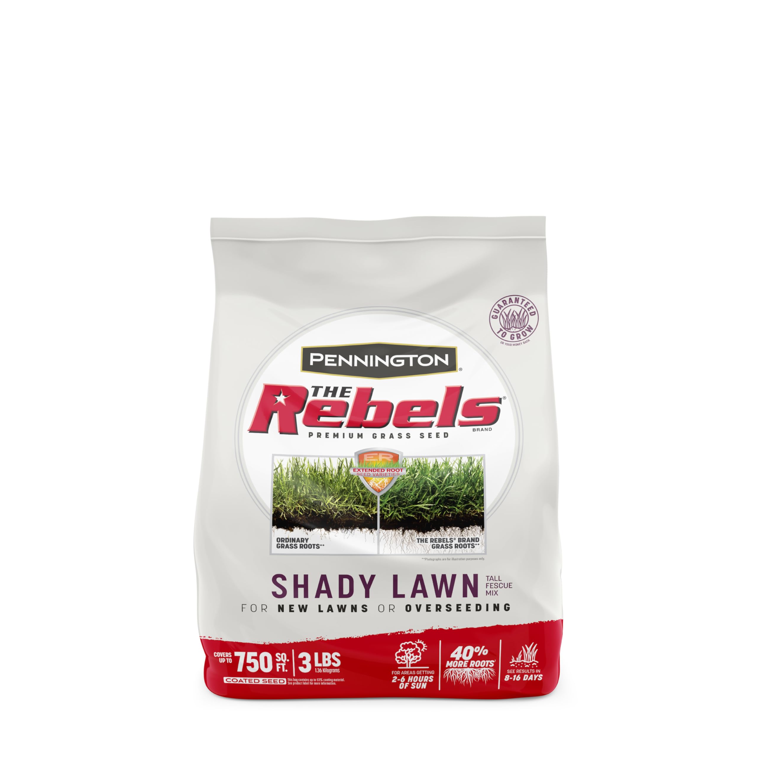 The Rebels Tall Fescue Shady Grass Seed Mix 3 lb