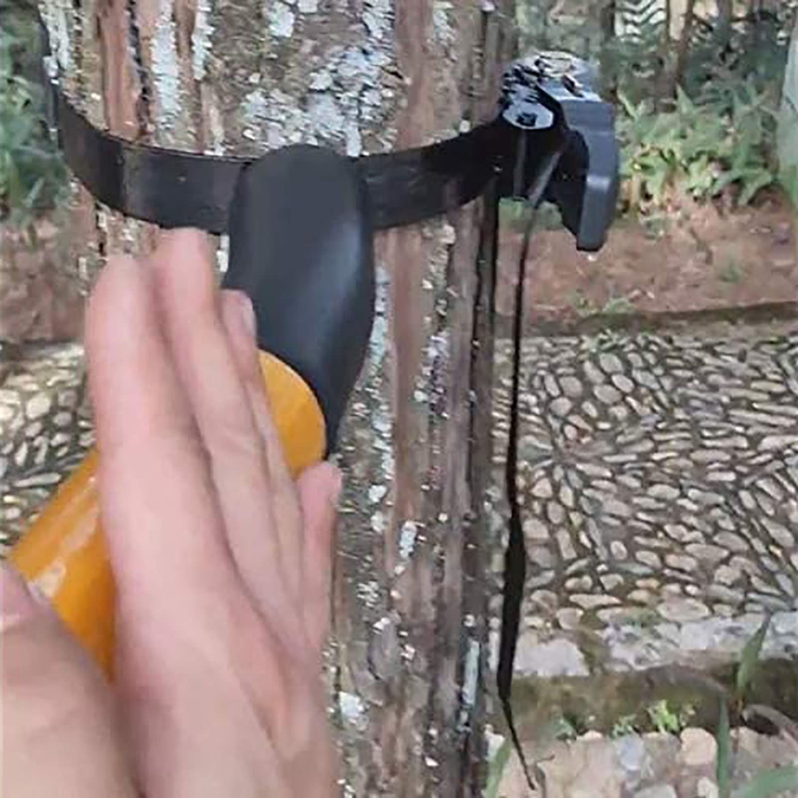 Wing Chun zestaw smoczka treningowego, przenośny, drewniany smoczek do sztuk walki, zawiera drzewa i worki z piaskiem, idealny do ćwiczeń i treningów Wing Chun