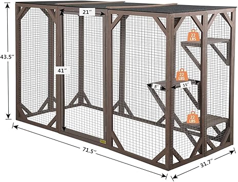 amazon cat enclosures