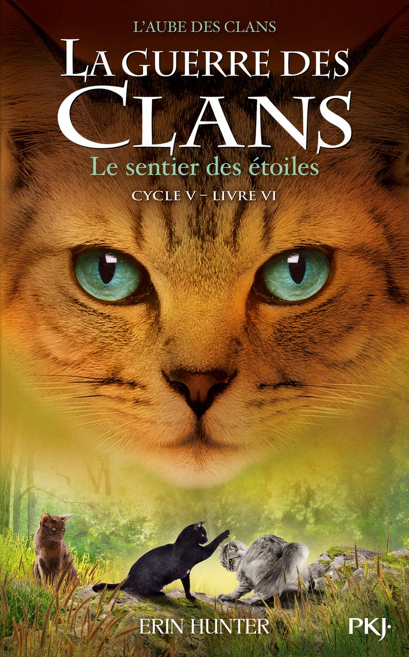 La guerre des clans - Cycle V : L'aube des clans - Tome 6 Le sentier des étoiles (6)