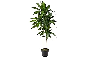 Nearly Natural Real Touch Leaves Artificial Dracaena Plant, 4ft, Green