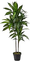 Nearly Natural 48in Artificial Dracaena Silk Plant with Real Touch Leaves & Multi-Tonal Trunks - Lifelike Maintenance-Free Indoor Greenery in Pot