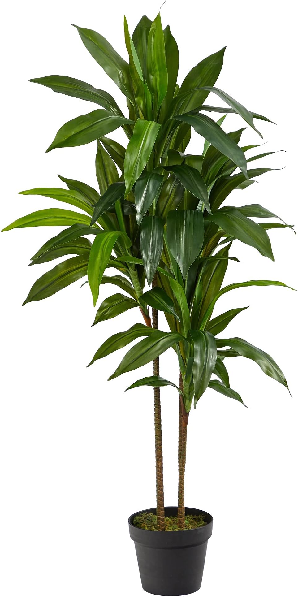 Nearly Natural 48" Dracaena Silk Plant (Real Touch) Green