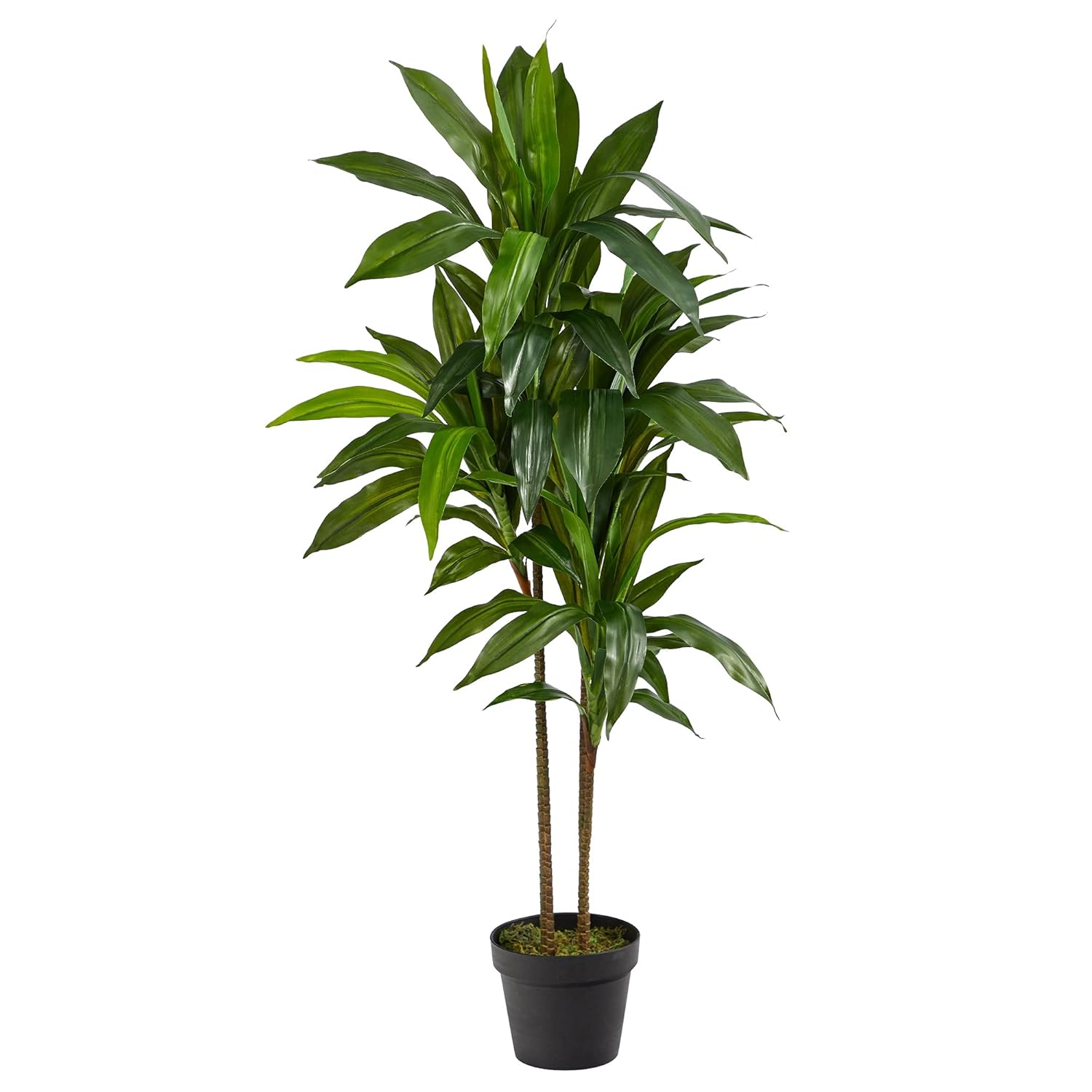 Nearly Natural 48in Dracaena Silk Plant Real Touch Green