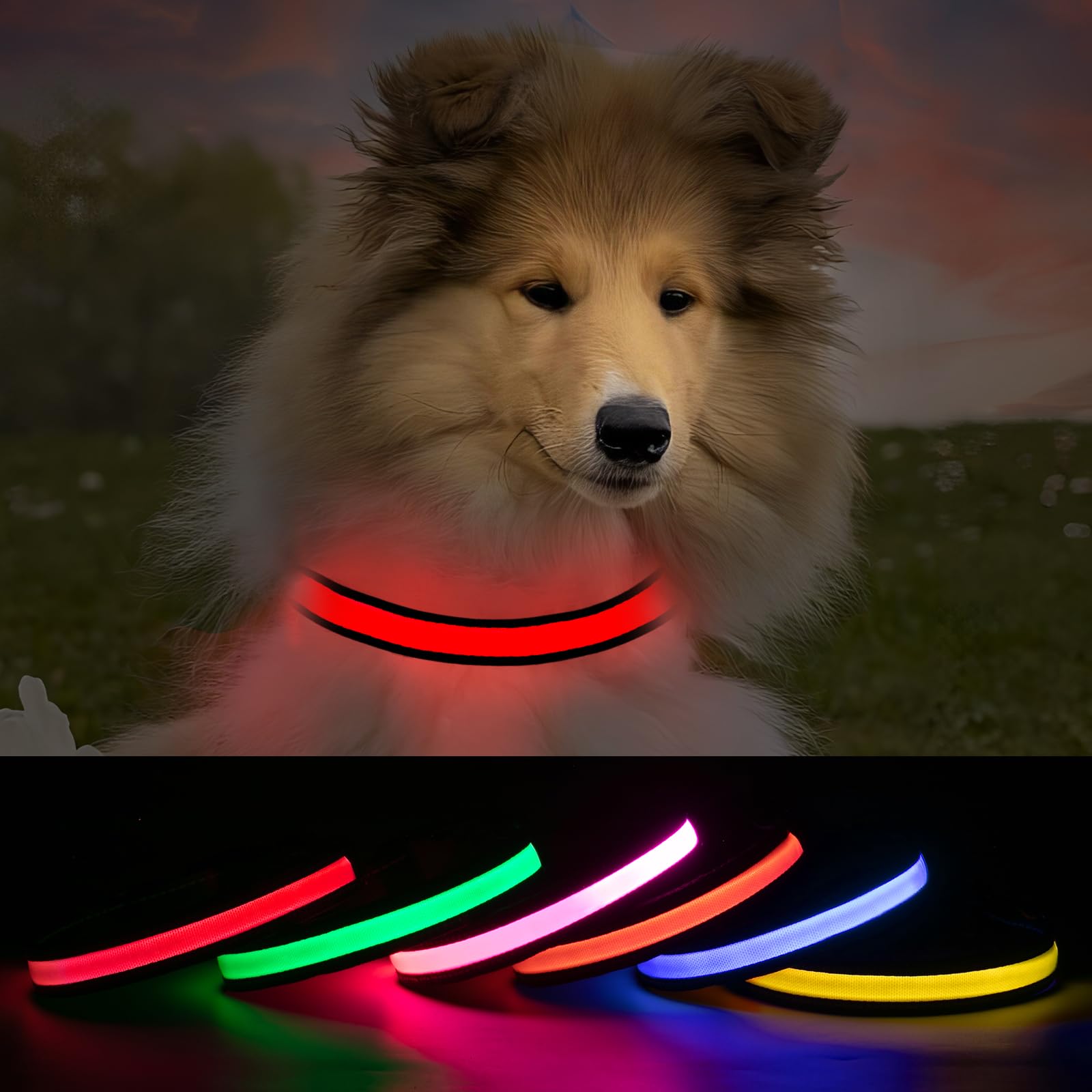 ROUWINNE Glowing Dog Collars for Large Dogs, Glow Dog Collars Rechargeable, Flashing Dog Collars for Dark, Waterproof Led Light Up Collar (Red, Pack