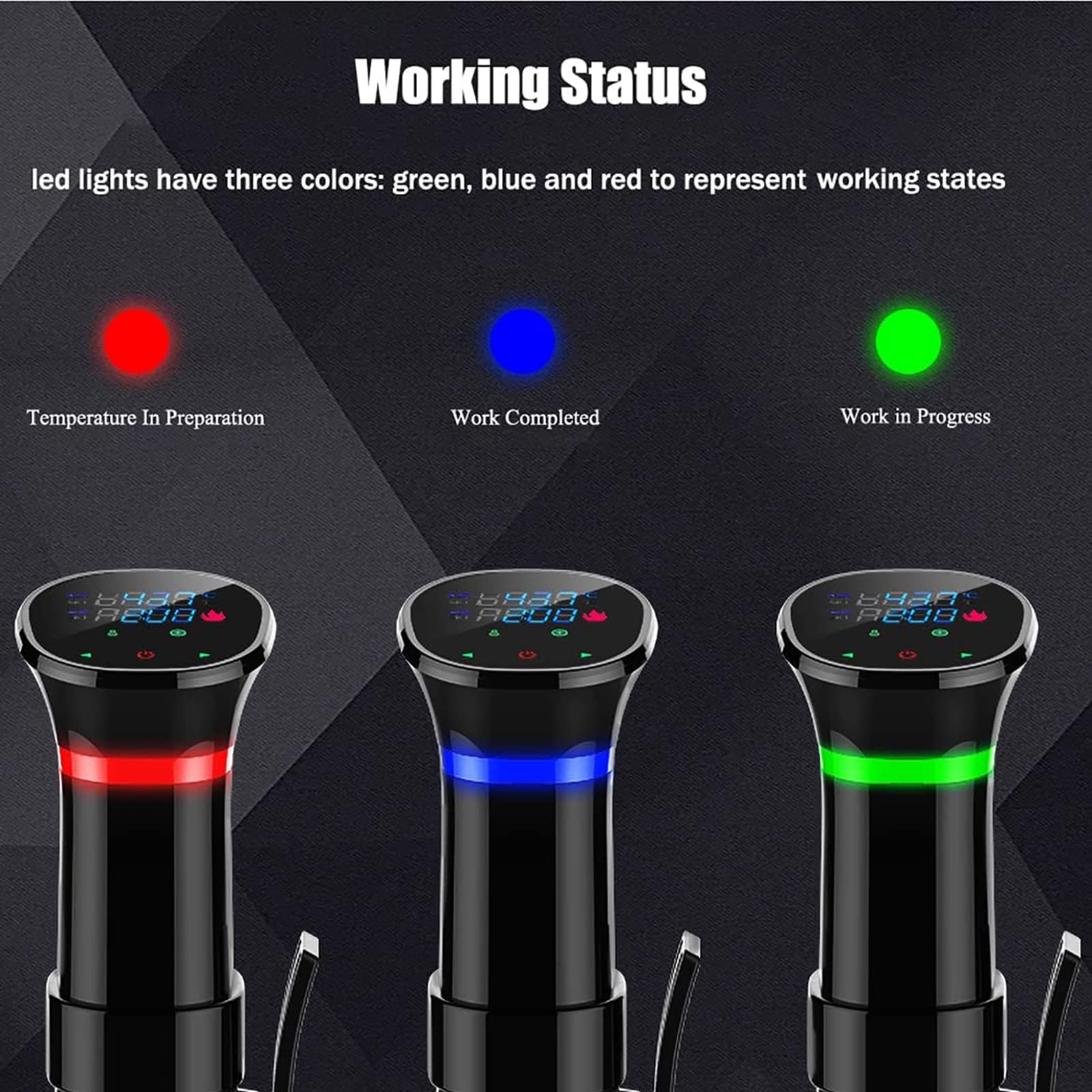 Cuiseur Sous Vide de Précision Circulateur à Immersion avec Minuterie