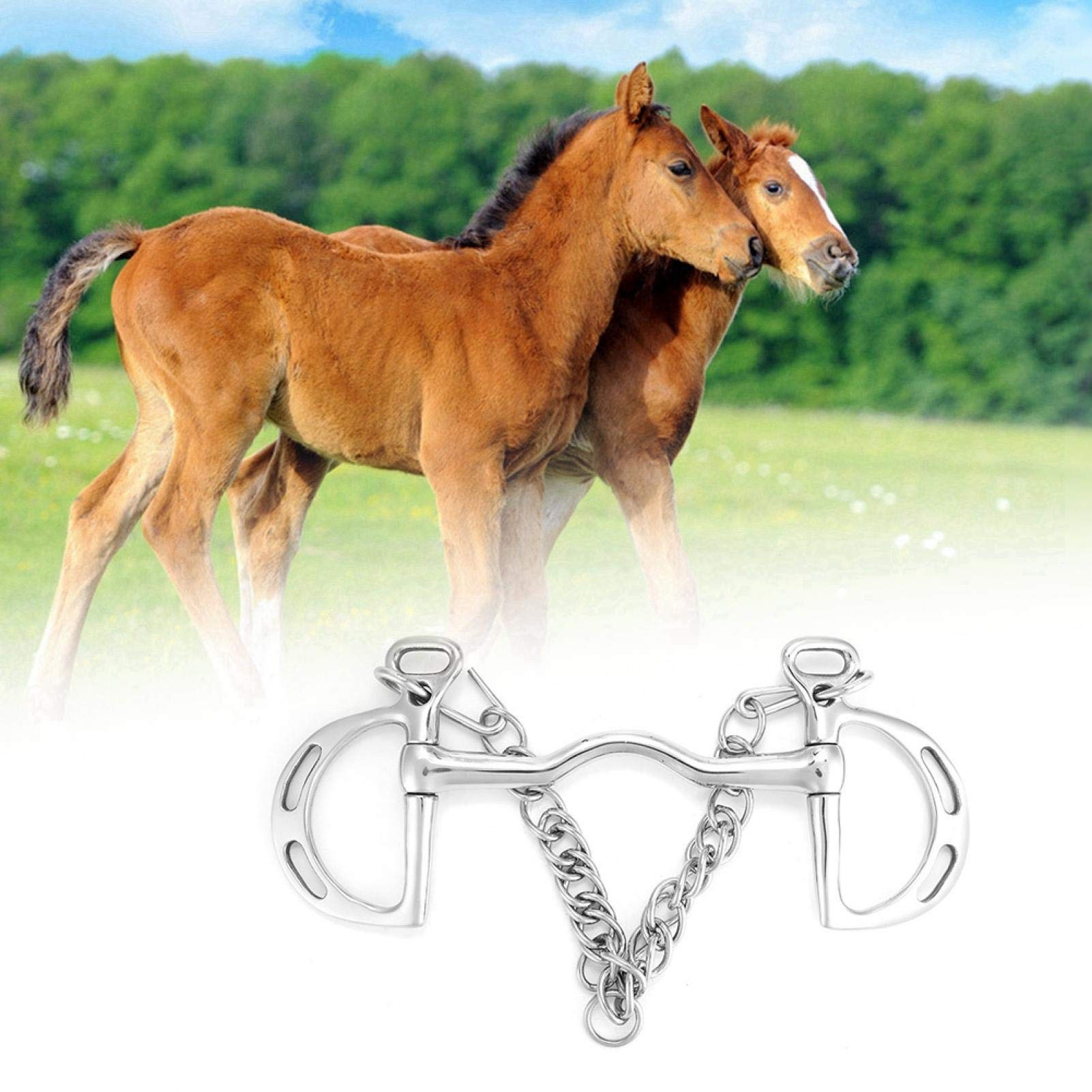 Morso a Bocca di Cavallo, Masticare Cavallo Portatile in Acciaio Inossidabile, morso Pelham a Bocca di Cavallo Solido per(Horse's Mouth is 125 mm Long)