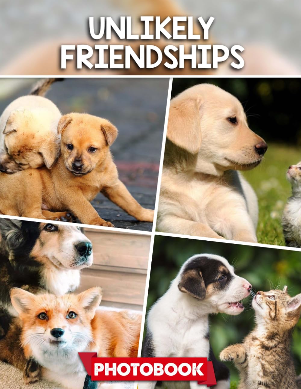 Unlikely Friendships Photo Book: Heartwarming Picture Collection – Unique Animal Companionship Captured In Touching Images Of Unexpected Friendships