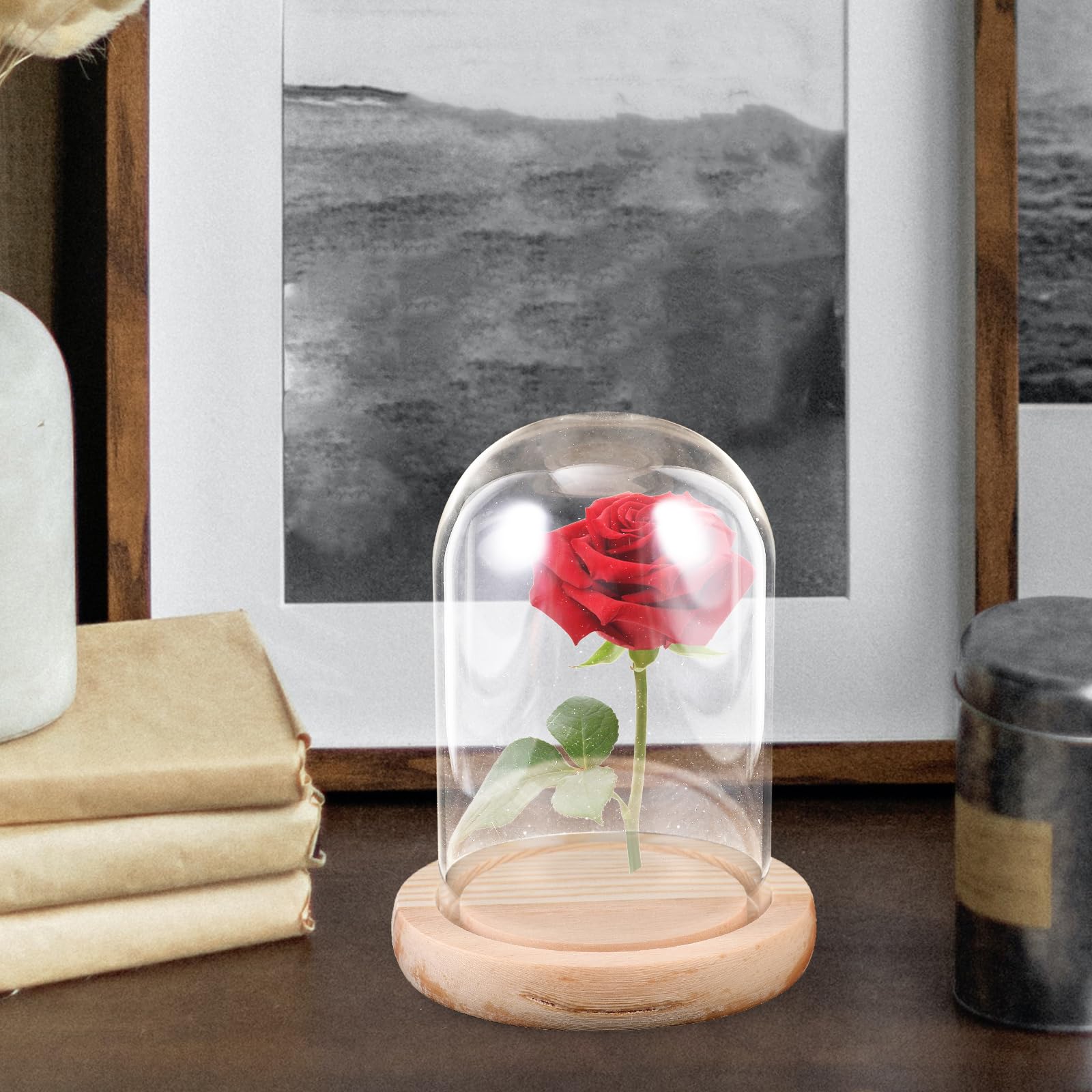 Miniatur-Glocke aus Glas für Sammlerstücke, Glockenkuppel für Pflanzen, Blumenhandwerk