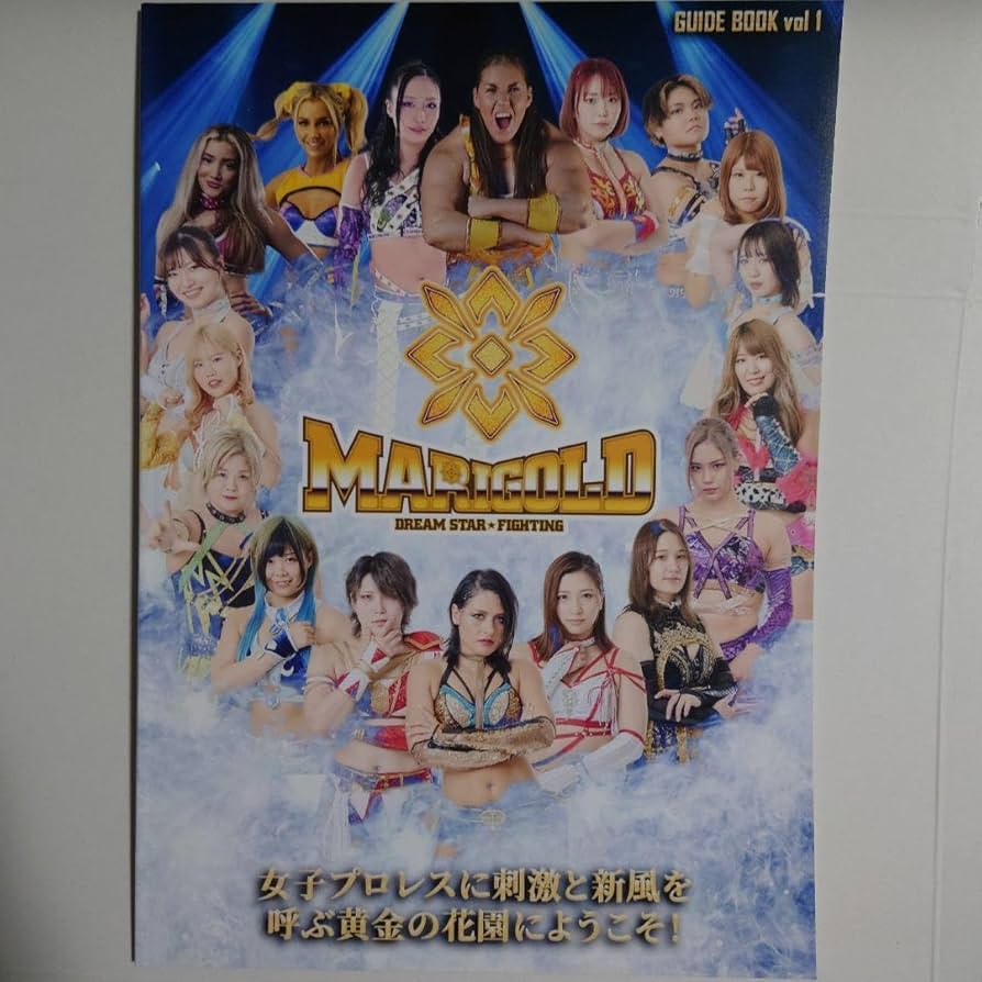 【新品未使用】トレーディングカード15枚　女子プロレス　マリーゴールド 新品未使用】トレーディングカード15枚 女子プロレス マリー