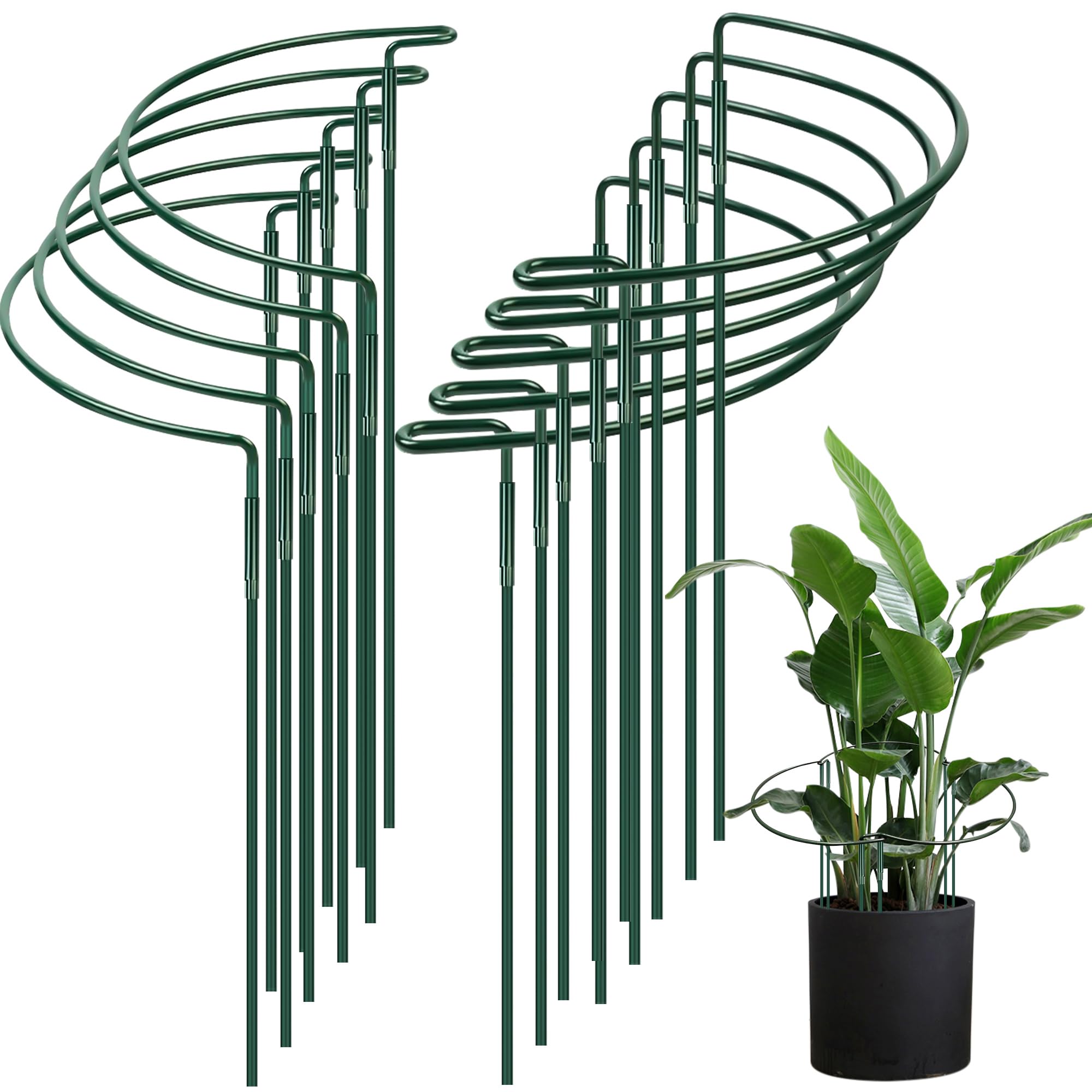 Lot de 10 supports de plantes semi-circulaires en métal - 40 x 25 cm - Support pour plantes en pot, fleurs, légumes