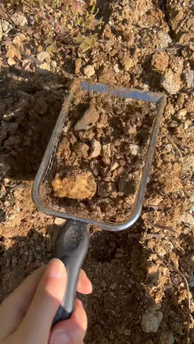 Tamiz para suelo de jardín (2 unidades) miniatura 7