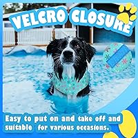 Vista 4 de Max Bandana de enfriamiento instantáneo para perros, bufanda transpirable para mascotas, toalla de hielo, suave para el cuello de mascotas