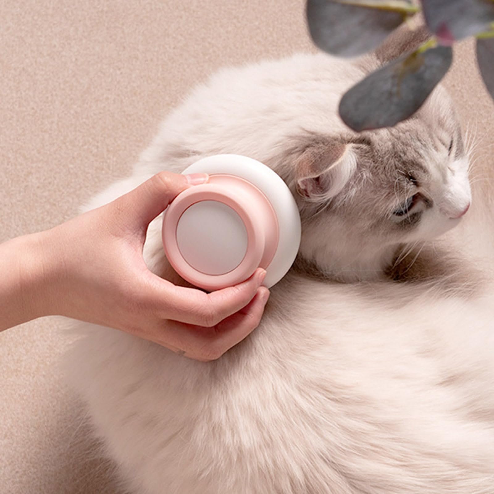 痒み止め 猫 ブラシ 長毛 マッサージ 換毛期 ブラッシング 毛取り くし Amazon | 痒み止め 猫 ブラシ 長毛 マッサージ 換毛期 ブラッシング 毛