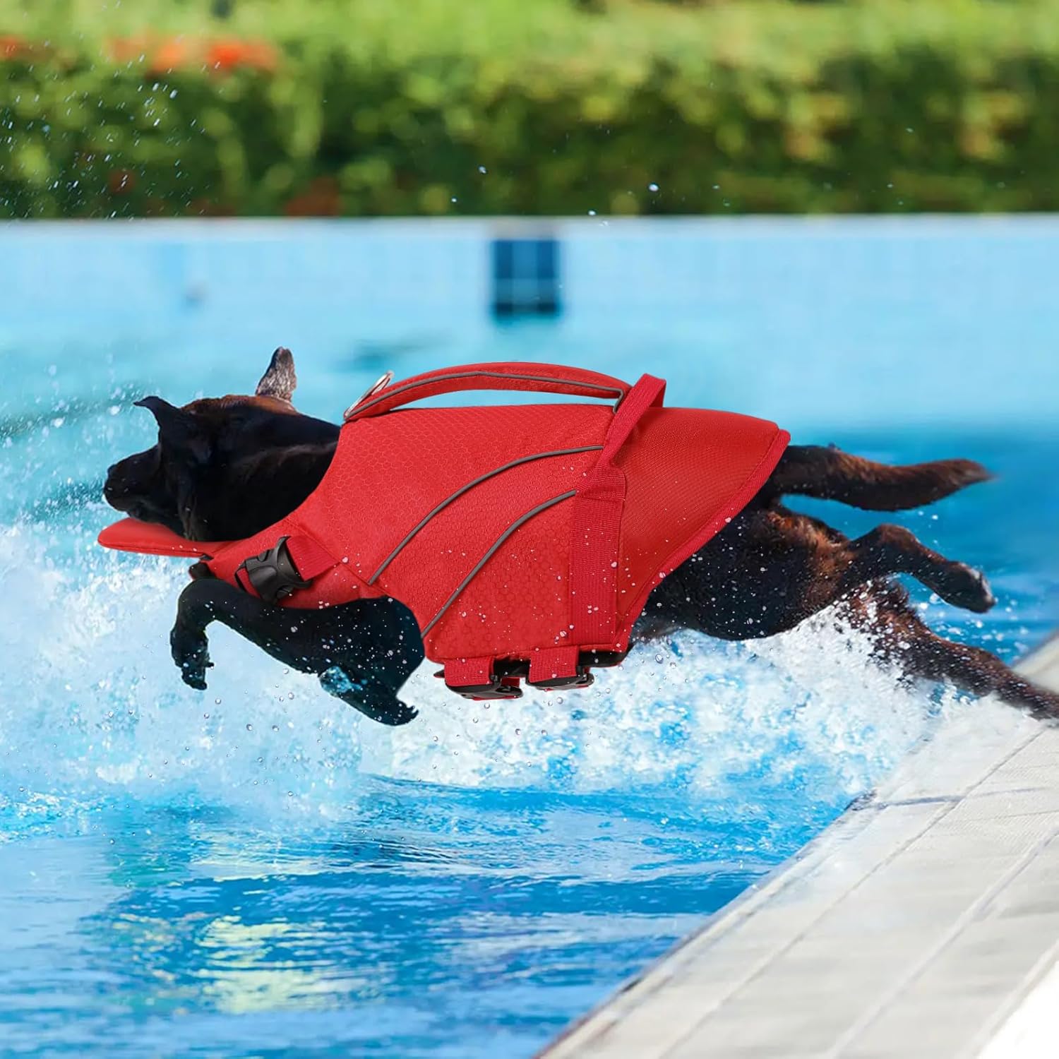 Queenmore Dog Life Jacket Large, Dog Pool Float with Chin Float, Large Pet Life Vest for Swimming, Adjustable Ripstop Life Preservers for Water at Pool, Beach, Boating (Red,XL)