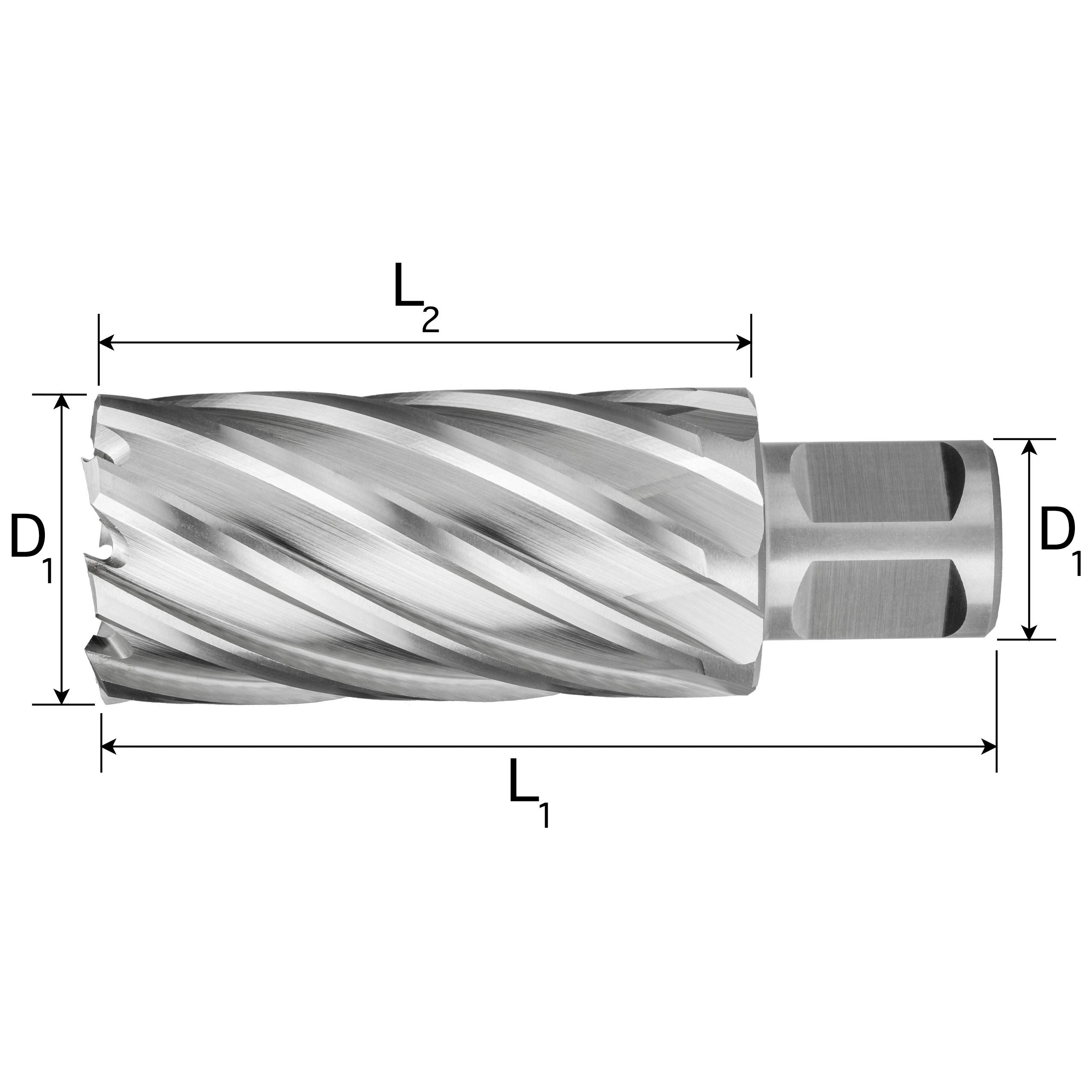 Fraise à Carotter HSS Revêtue TiAIN, Weldon 19, Diamètre 32 Mm Et Longueur 30 Mm