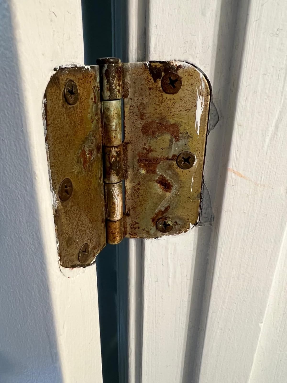 3.5" Door Hinges, 5/8" Radius photo review